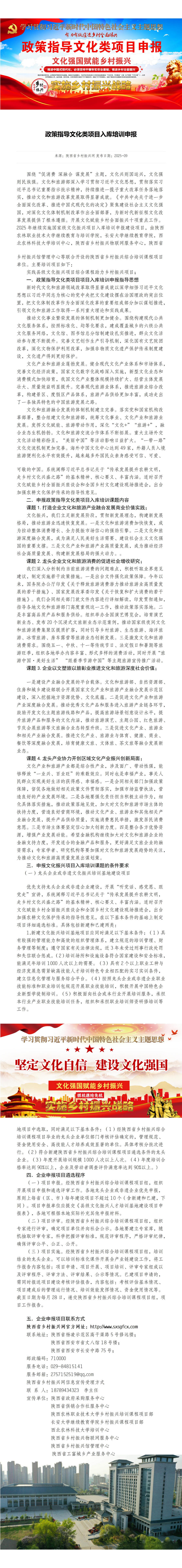 2政府文化政策类项目申报.jpg